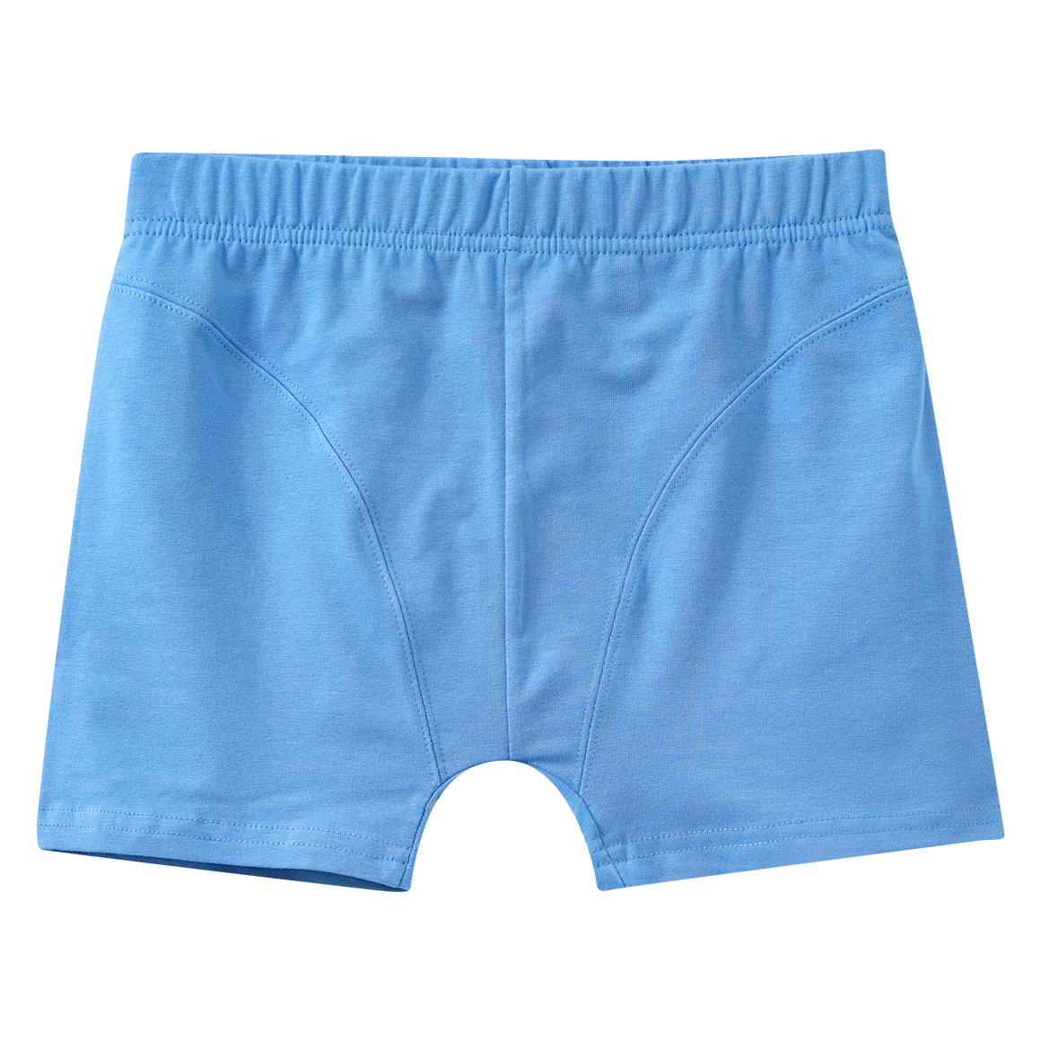 5 Jungen Boxer in verschiedenen Dessins