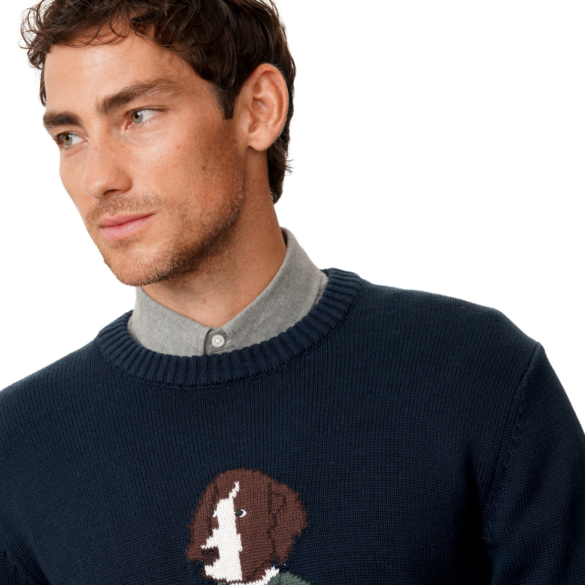 Herren Strickpullover mit Hunde-Motiv