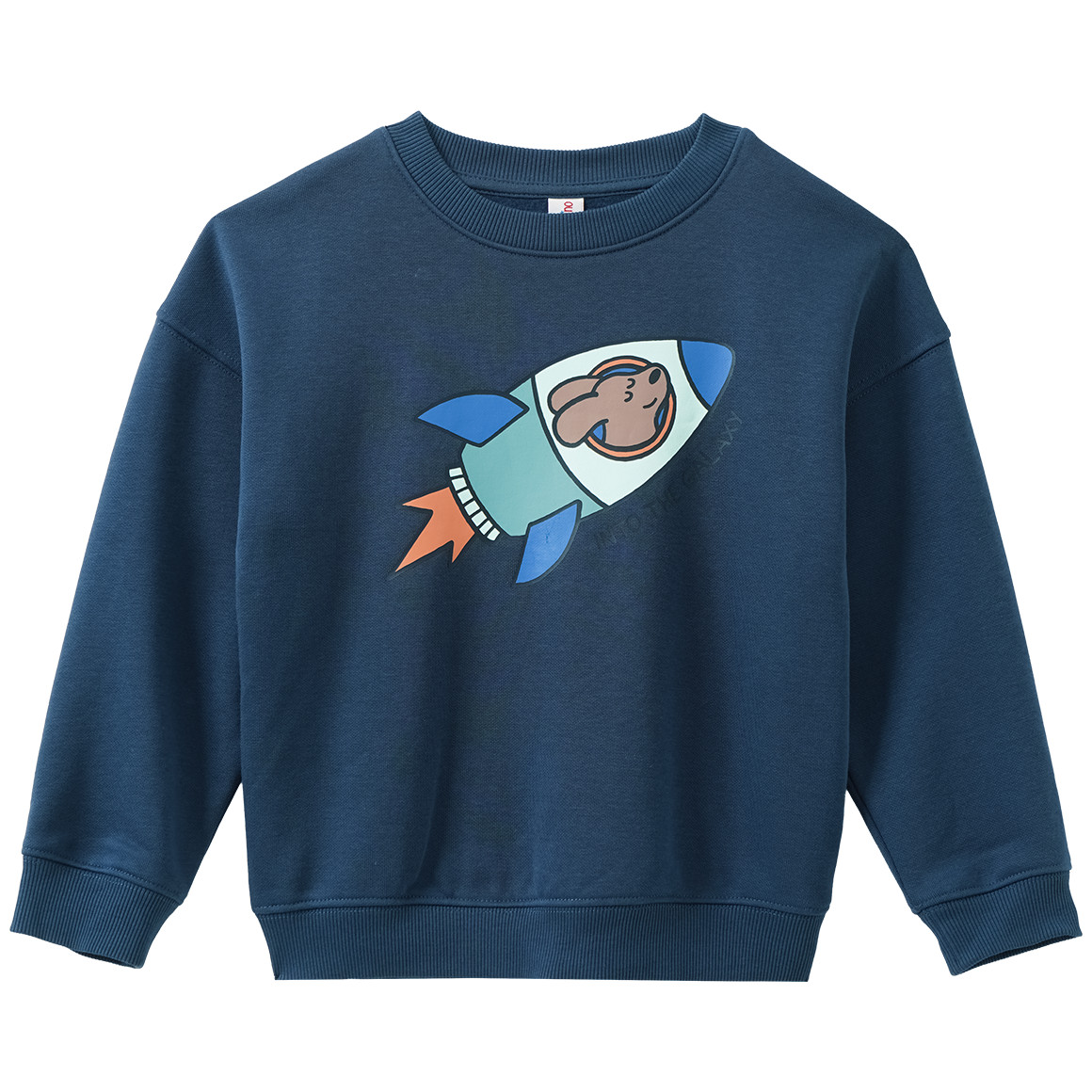 Jungen Sweatshirt mit Print