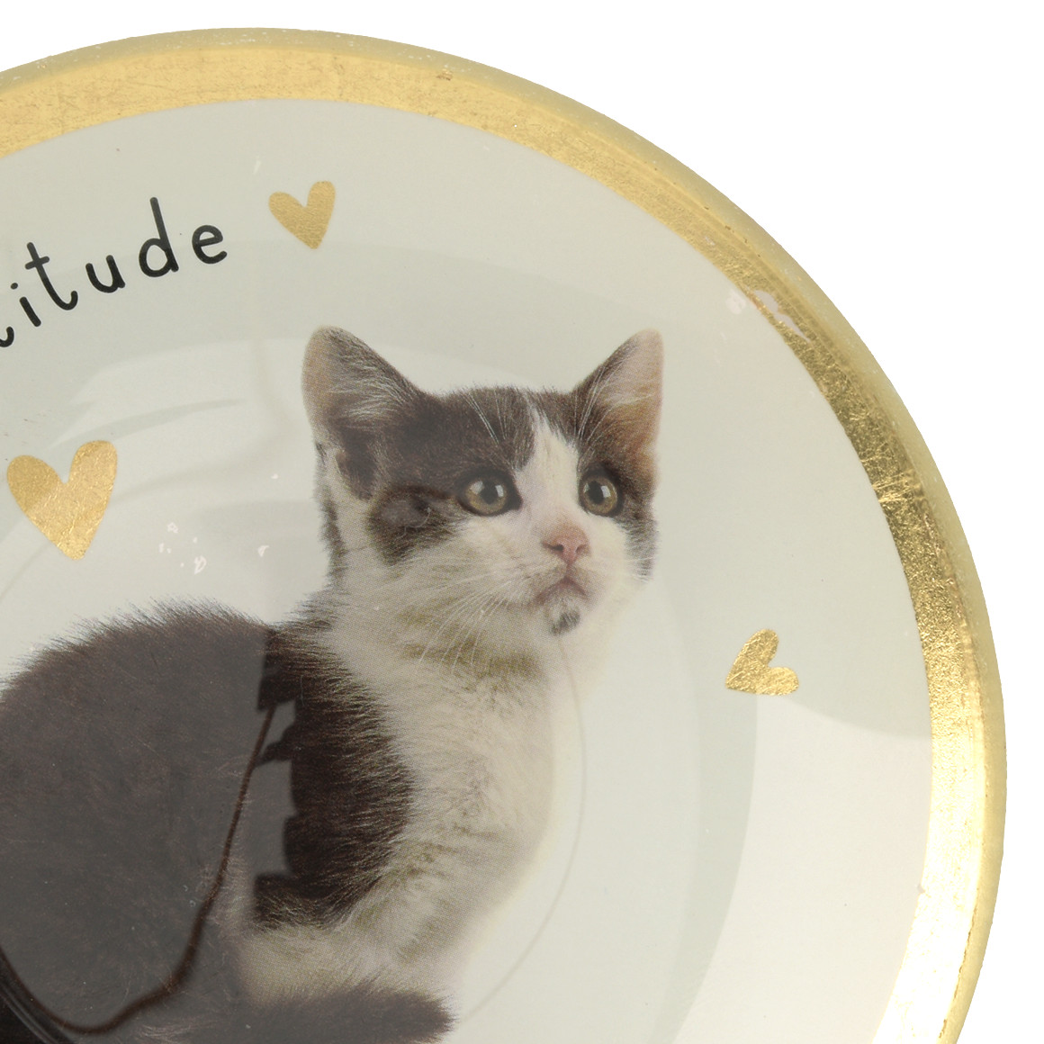 Kleiner Deko-Teller mit Katzen-Motiv