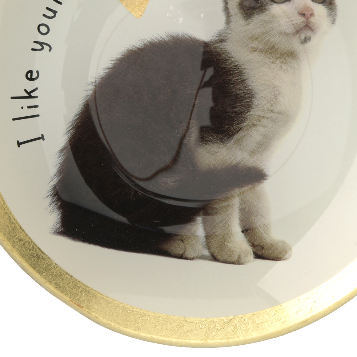 Kleiner Deko-Teller mit Katzen-Motiv
