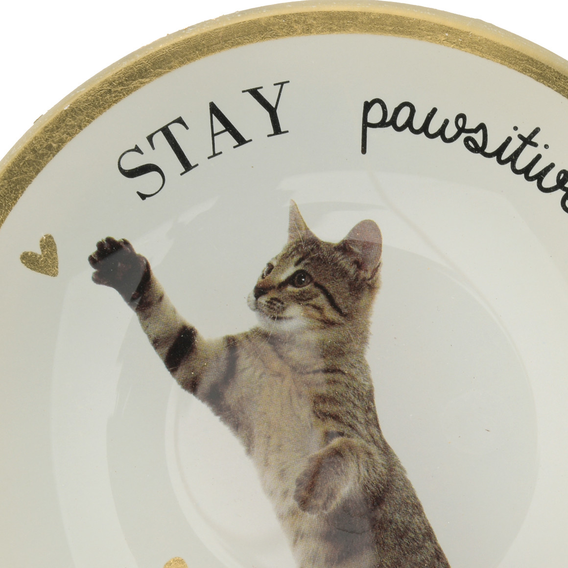 Kleiner Deko-Teller mit Katzen-Motiv