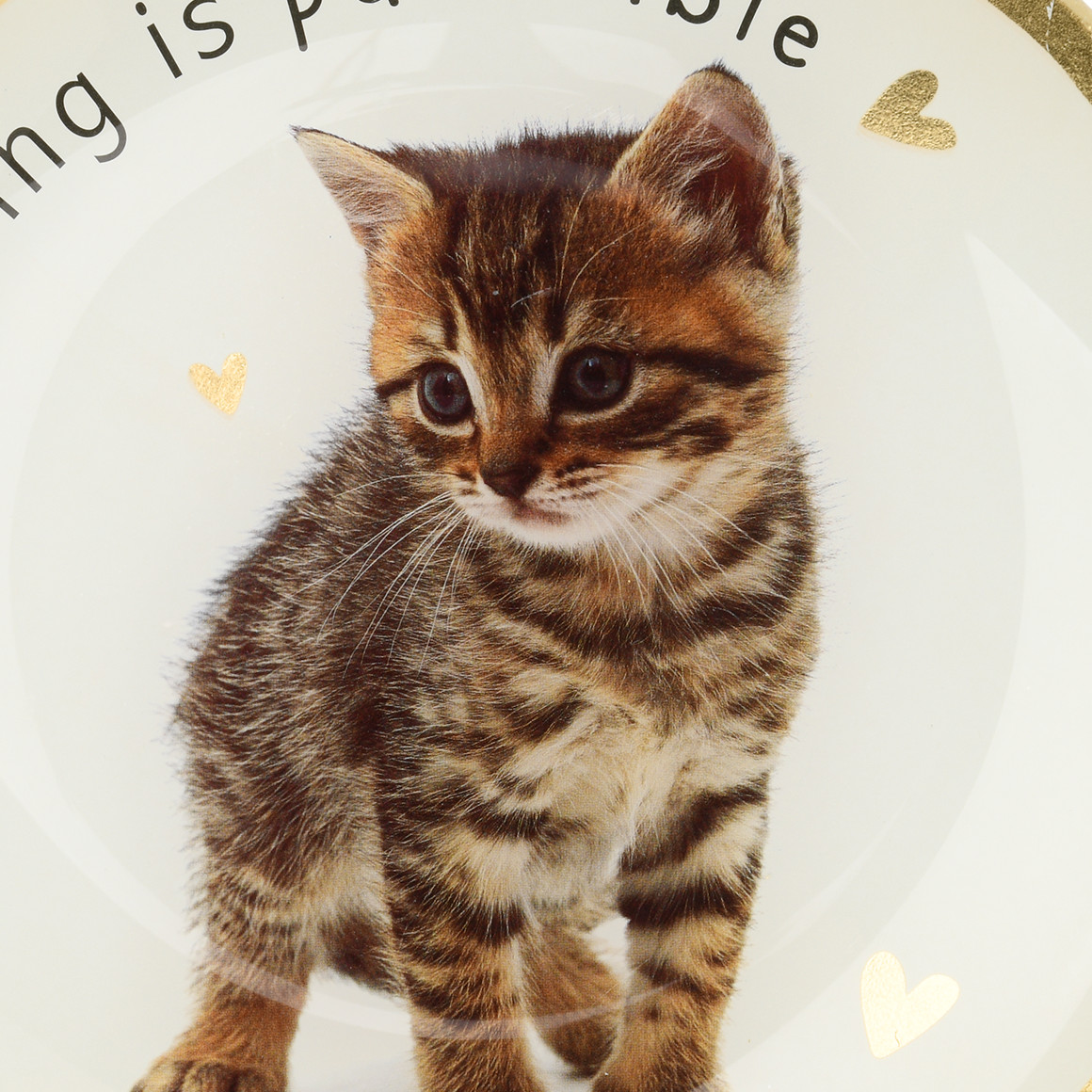 Deko-Teller mit Katzen-Motiv