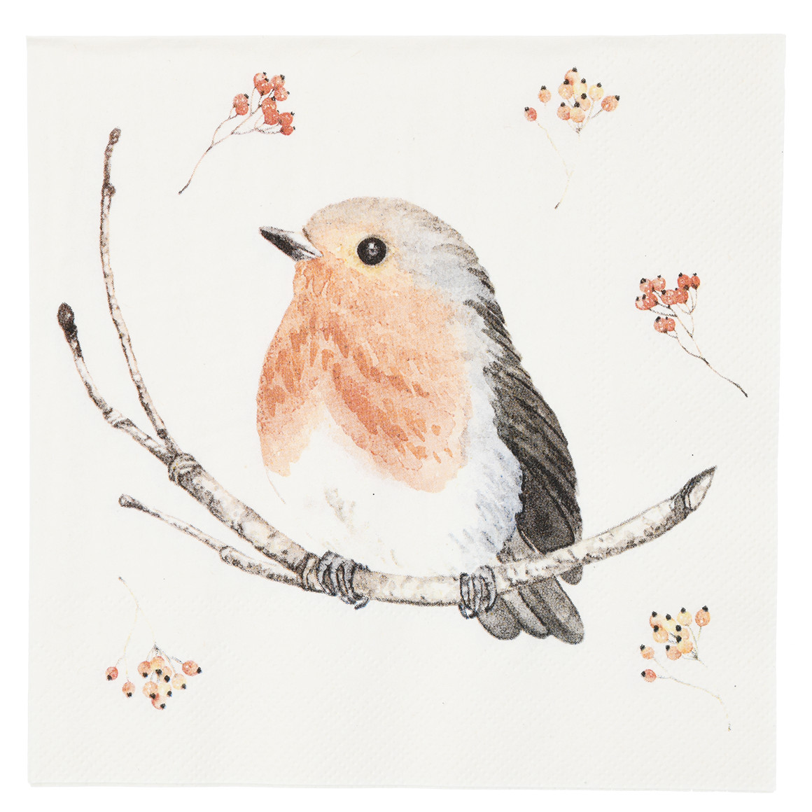 20 Servietten mit Vogel-Motiven