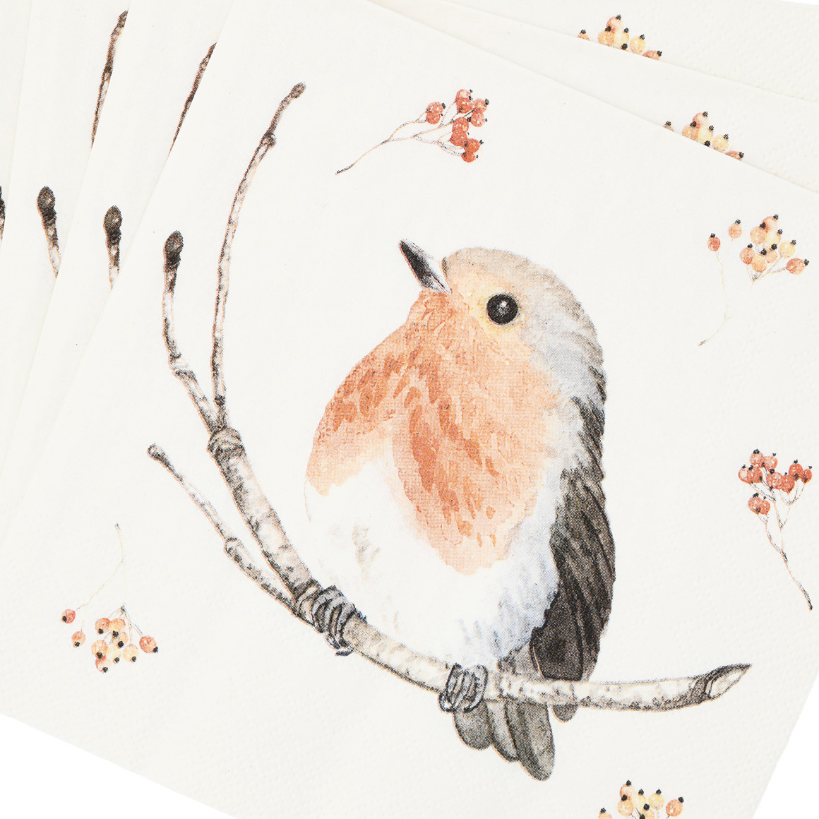 20 Servietten mit Vogel-Motiven