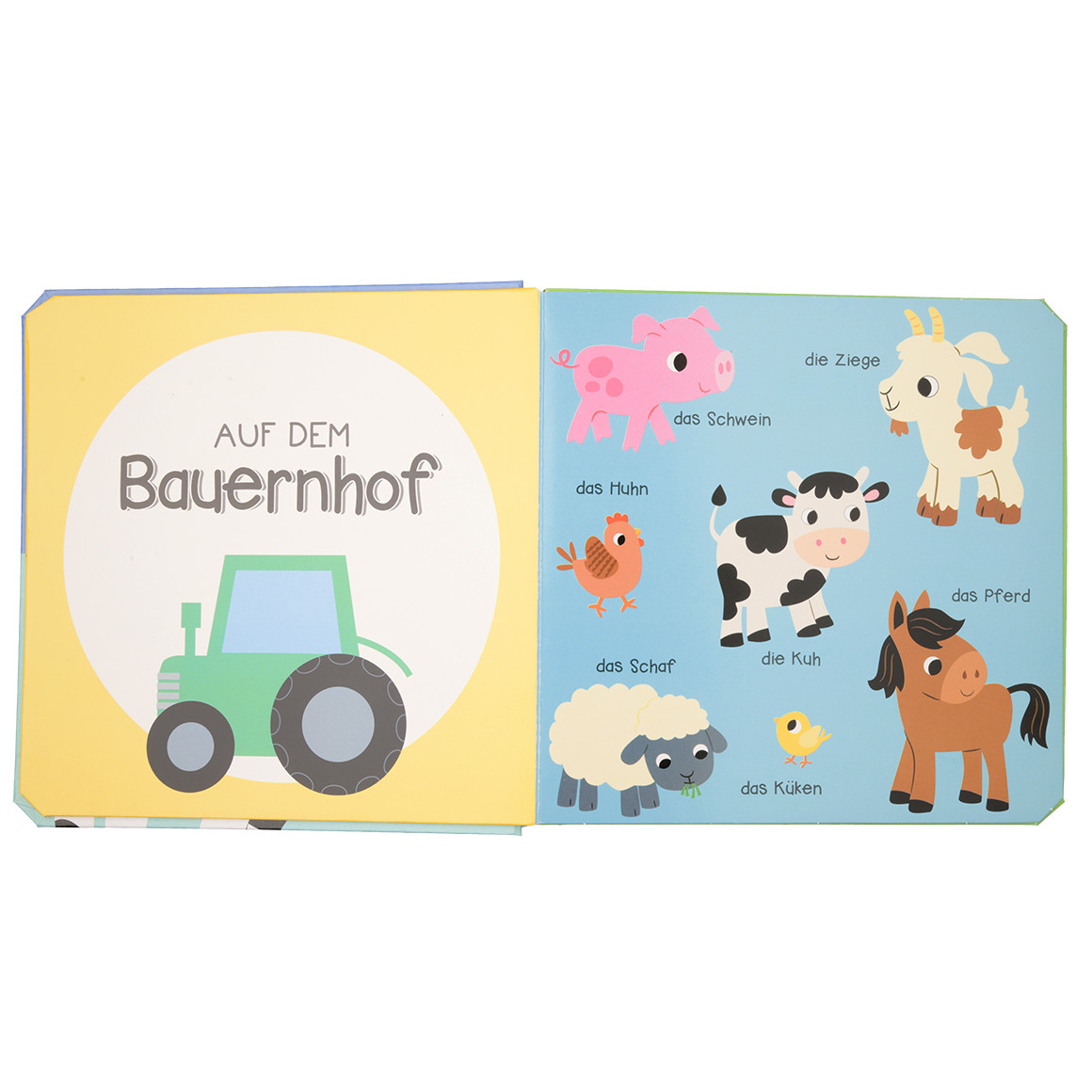 Baby Tiere-Buch mit bunten Seiten