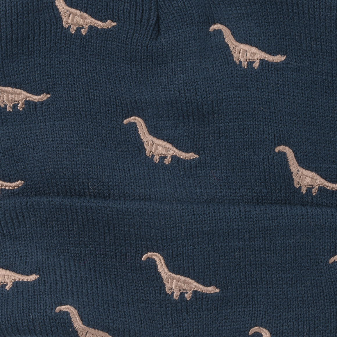 Jungen Mütze mit Dino-Stickerei