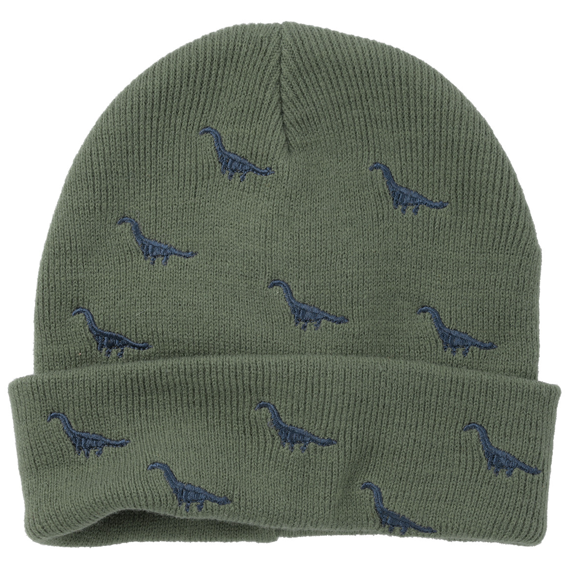 Jungen Mütze mit Dino-Stickerei