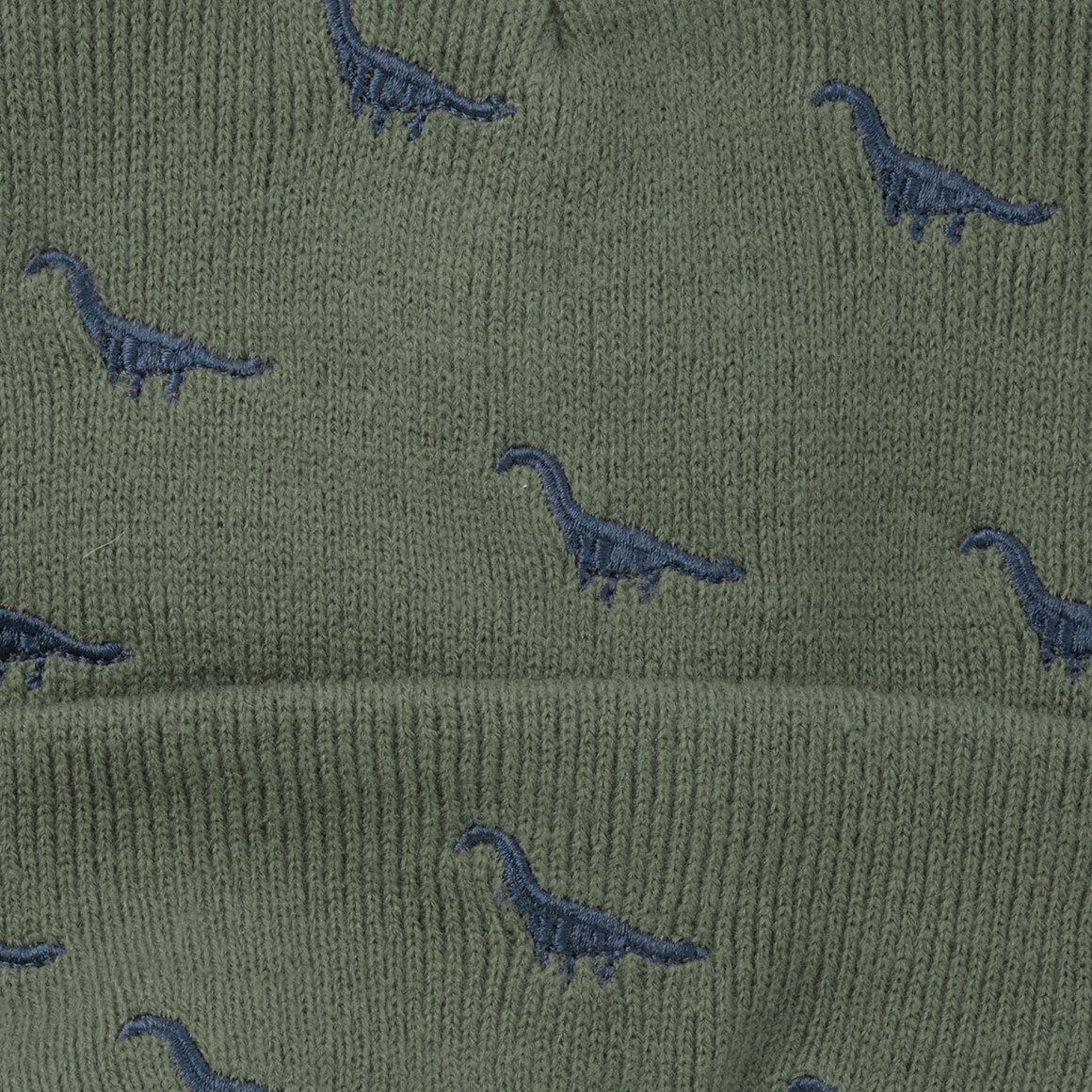 Jungen Mütze mit Dino-Stickerei