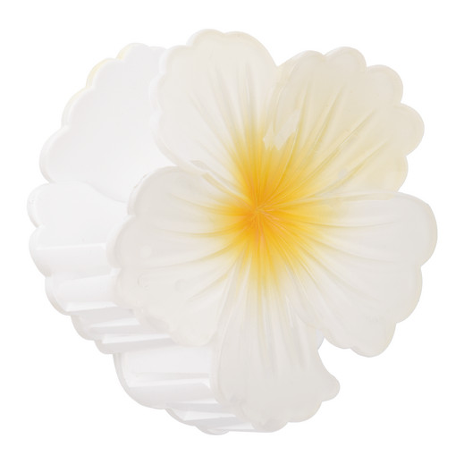 Details