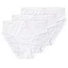 3 Damen Slips mit Mäusezähnchen-Spitze