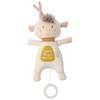 Muziekdoosje voor baby's