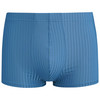 Herren Mikrofasershorts mit Streifen