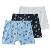 3 Jungen Boxer in verschiedenen Dessins