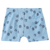 3 Jungen Boxer in verschiedenen Dessins