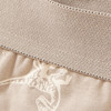 3 Jungen Boxer mit Dino-Motiven