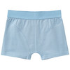 3 Jungen Boxer mit Dino-Motiven