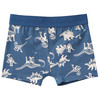 3 Jungen Boxer mit Dino-Motiven