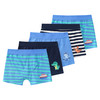 5 Jungen Boxer mit Print