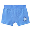 5 Jungen Boxer mit Print