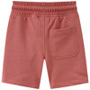 De Leeuwenkoning joggingshort met print