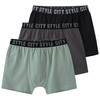 3 Jungen Boxer im Set