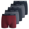 Set van 5 heren retroshorts