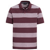 Herren Poloshirt mit breiten Streifen