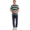Herren Poloshirt mit breiten Streifen