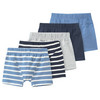 5 Jungen Boxer im Set