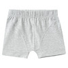 5 Jungen Boxer im Set