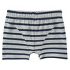 5 Jungen Boxer im Set