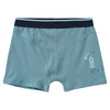 3 Jungen Boxer im Set