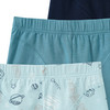 3 Jungen Boxer im Set