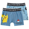 2 Pokémon-boxershorts met print