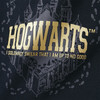 Harry Potter Hoodie mit großem Print