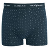 Herren Retroshorts mit Allover-Muster