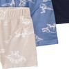 3 Jungen Boxer in verschiedenen Dessins