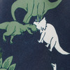 Jungen Badeshorts mit Dino-Allover