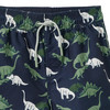 Jungen Badeshorts mit Dino-Allover