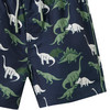 Jungen Badeshorts mit Dino-Allover