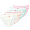 5 Damen Slips in Muster-Mix