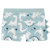 Baby Badehose mit Dino-Allover