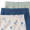 3 Jungen Boxer im Set