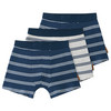 3 Jungen Boxer im Ringel-Look
