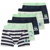 5 Jungen Boxer im Set