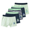 5 Jungen Boxer im Set