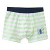 5 Jungen Boxer im Set
