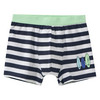 5 Jungen Boxer im Set