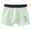 5 Jungen Boxer im Set